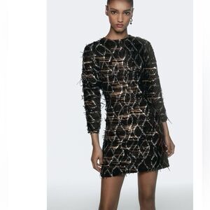 Zara sequin fringed mini dress